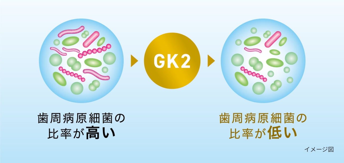 spt_gel_plus_common2